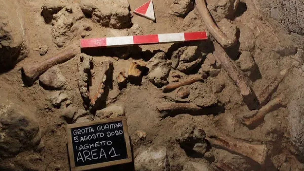 İtalyan arkeologlar bir mağarada 9 Neandertal kalıntısı keşfetti