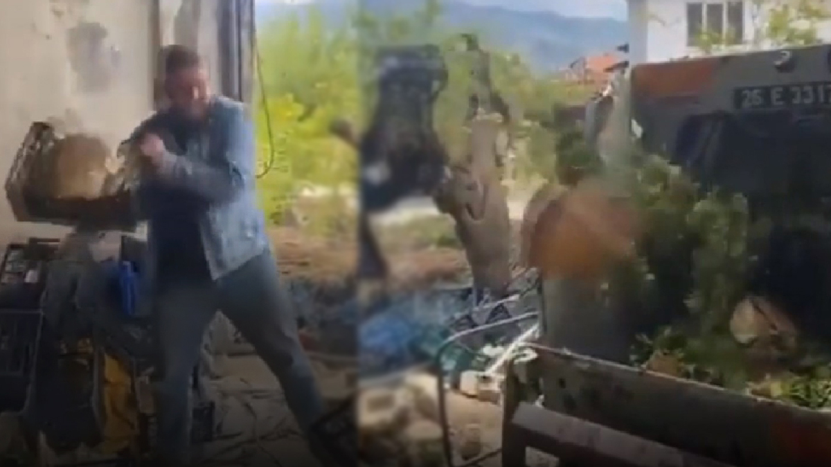 Çiftçinin elinde kalan ürünü çöpe gitti: Destek yok, halimizi soran yok