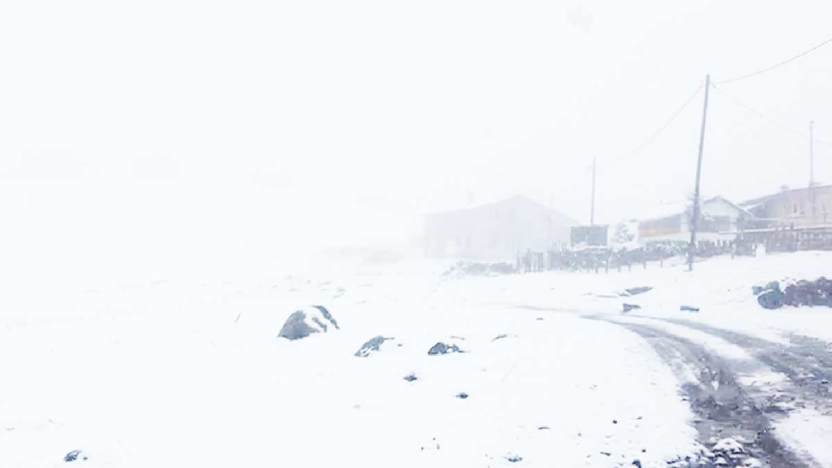Rize'nin havası dengeleri bozdu: 10 gündür yanıyorduk, şimdi donuyoruz