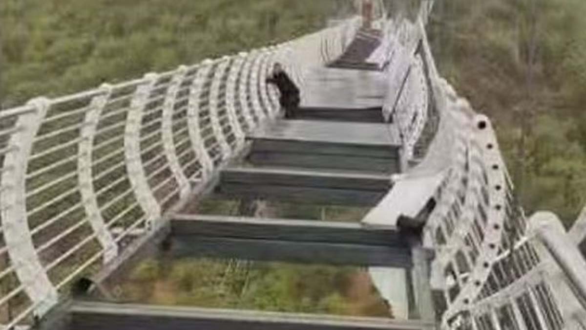 Çin'de asma köprü parçalandı, turist mahsur kaldı