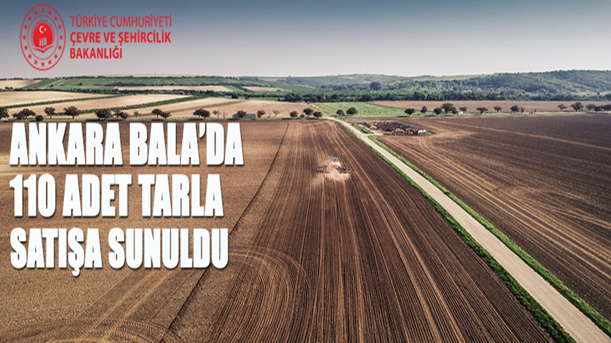 Ankara Bala'da 110 adet tarla satışa çıkarıldı