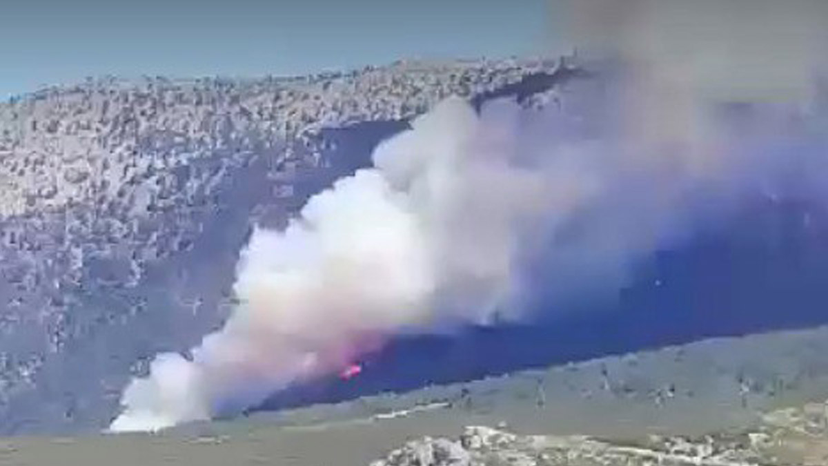 Denizli'de orman yangını! Rüzgarın etkisiyle yayıldı