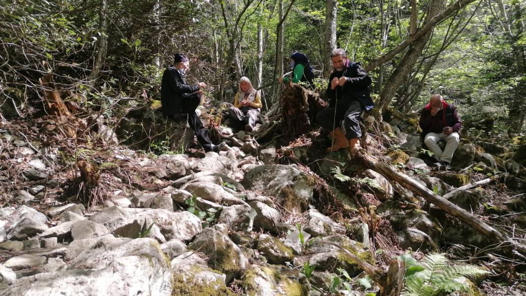 TMMOB'dan İkizdere açıklaması: Daha şimdiden binlerce ağaç yok edildi