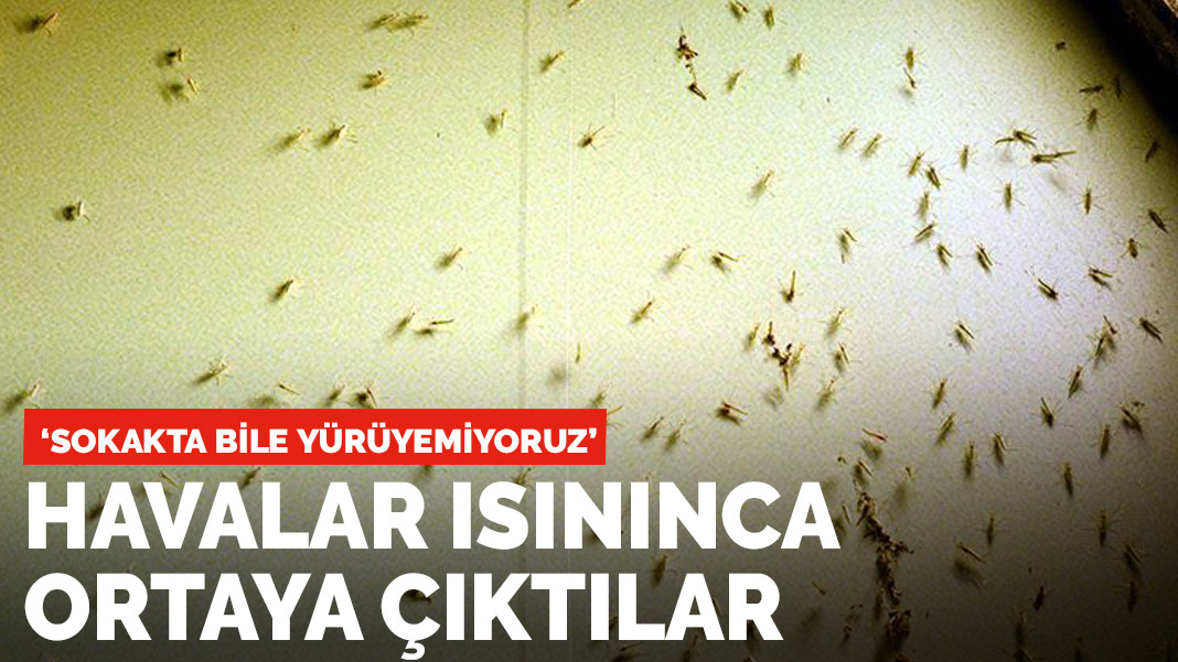 Tüm Büyükçekmece'yi sardı! 'Sokakta bile yürüyemiyoruz'