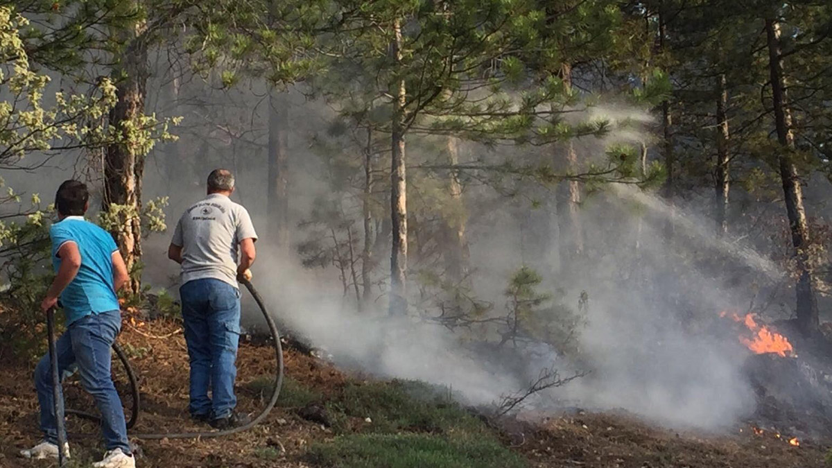 Eskişehir ve İzmir'de orman yangını