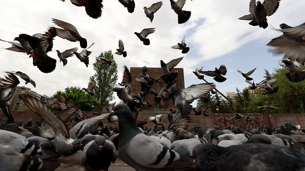 Tam kapanma sonrası normalleşme takvimi belli oldu! İşte yeni kurallar...