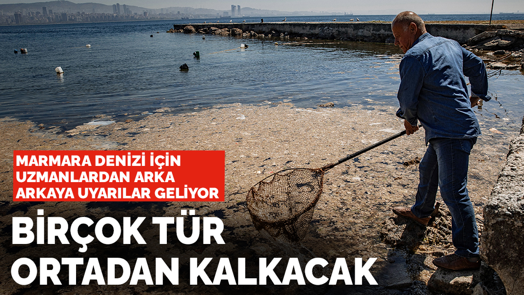 Marmara Denizi'ndeki yoğun müsilaj hakkında TÜDAV'dan açıklama