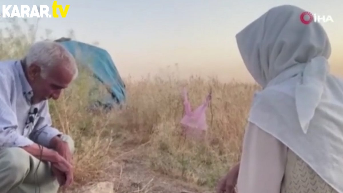 Köpekleri ölen yaşlı çiftin gözyaşları