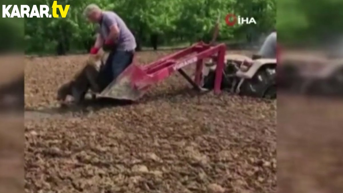 Bataklığa saplanan köpek böyle kurtarıldı