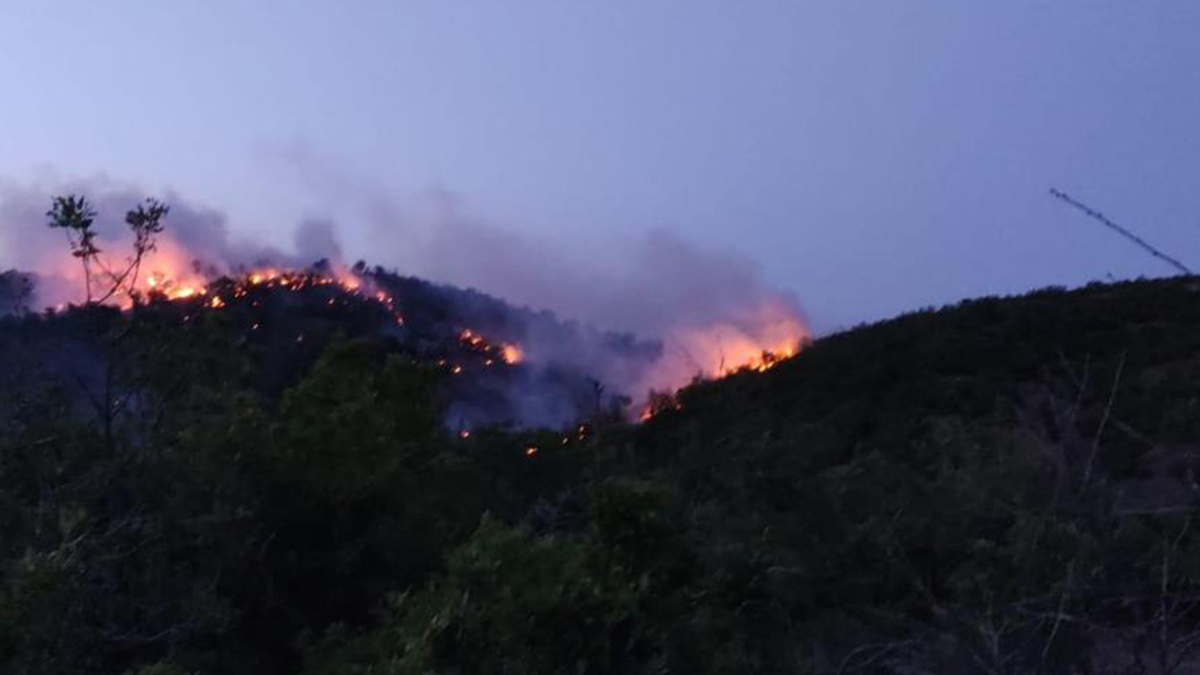 Bingöl'deki ormanlık alanda yangın: 9 dönümlük alan yandı