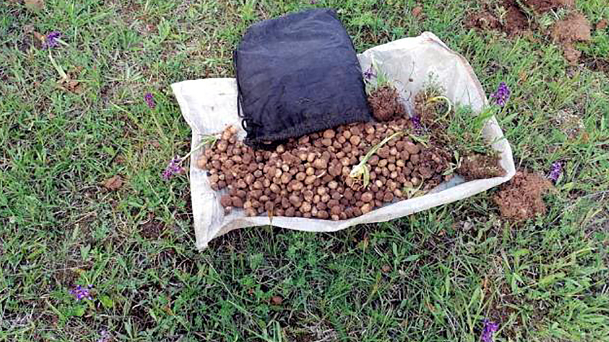 Toplayan 4 kişiye 321 bin TL ceza