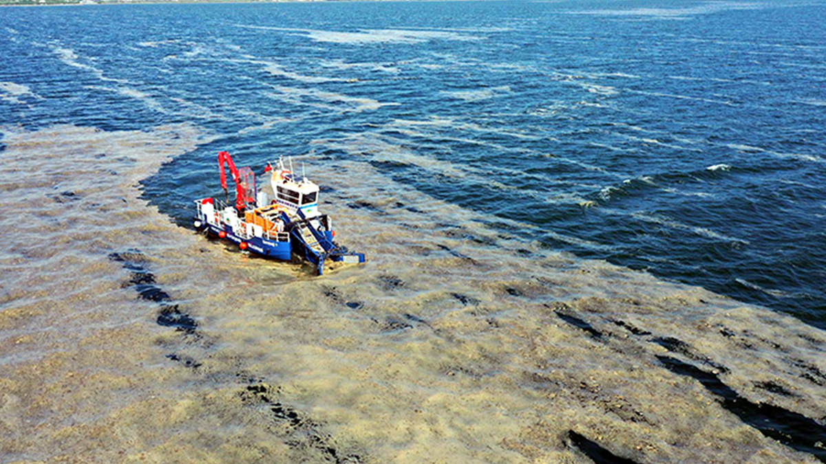 İzmit Körfezi'nde 50 günde 150 ton müsilaj toplandı