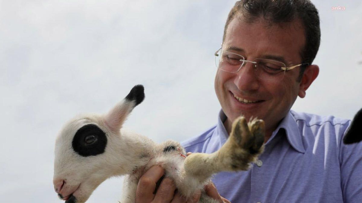 İmamoğlu: İstanbul çiftçisine destek veriyoruz