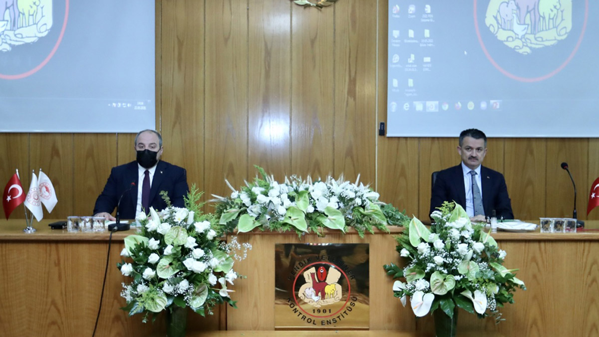 AA muhabirinden iki bakanı şok eden Peker sorusu