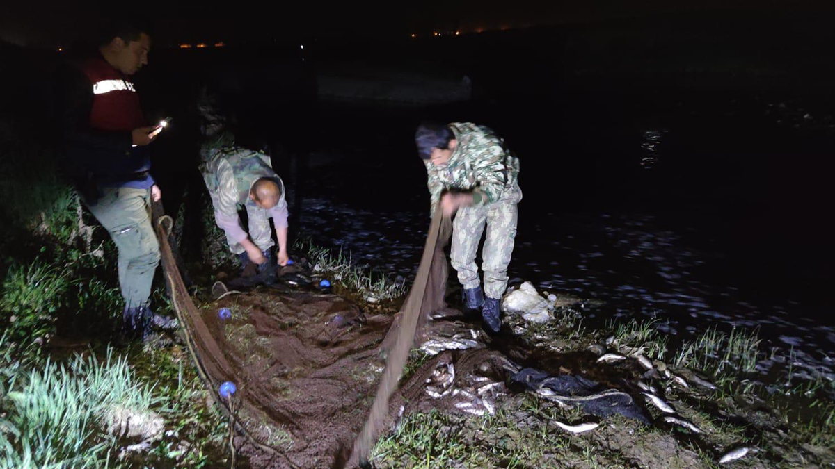Avlanması yasaktı... Tonlarca avladılar
