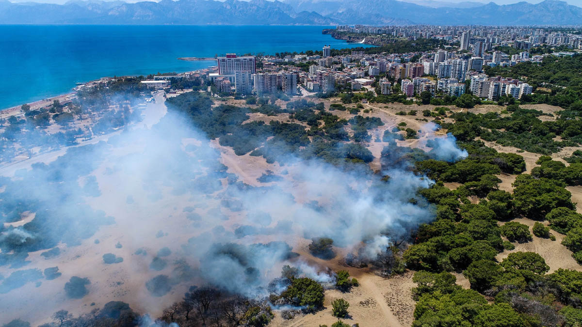 Doğal koruma alanı olan Lara ormanında yangın
