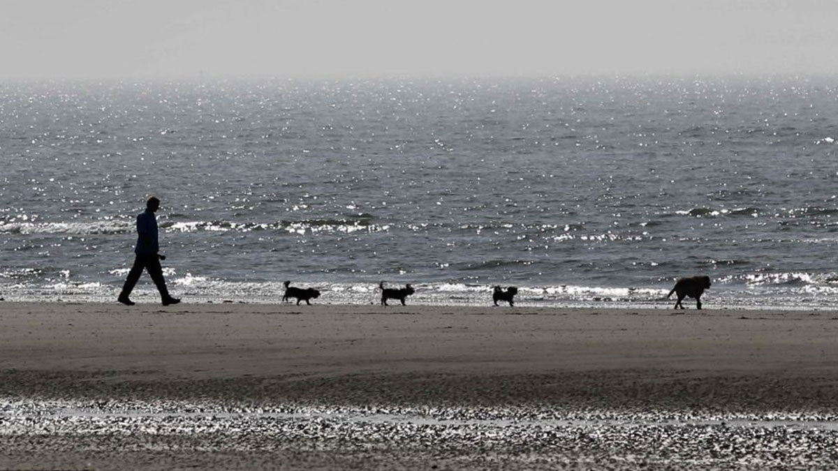 İklim krizinde kara senaryo: Denize girilemeyecek, sokağa çıkılamayacak!