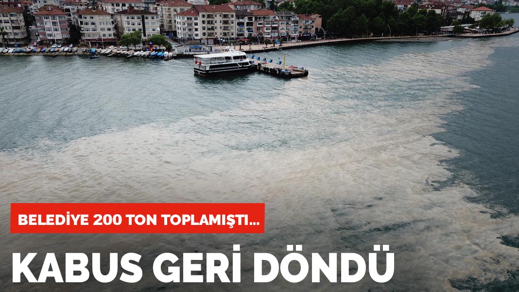 Belediye 200 ton toplamıştı... Kabus geri döndü