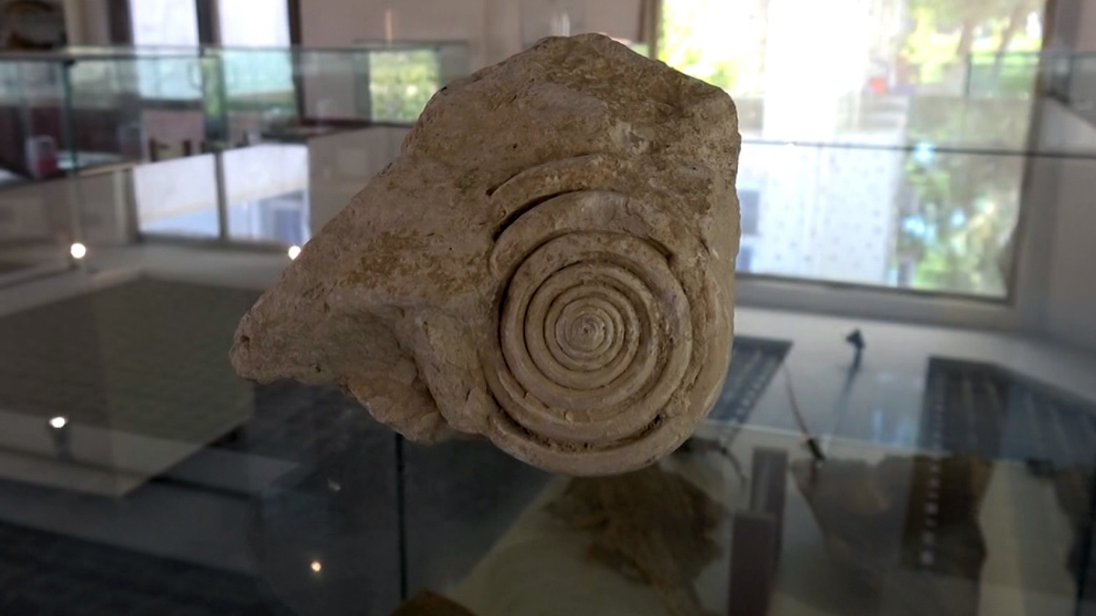 Mersin'de bulundu! Tam 60 milyon yıllık