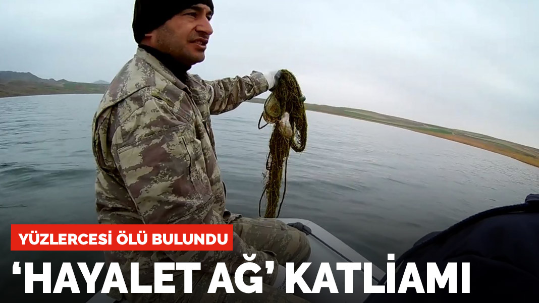 'Hayalet ağ' katliamı! Yüzlercesi ölü bulundu