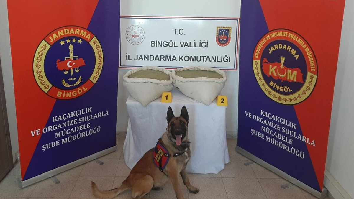 Bingöl'de 110 bin kök Hint keneviri ve 19 kilogram esrar ele geçirildi