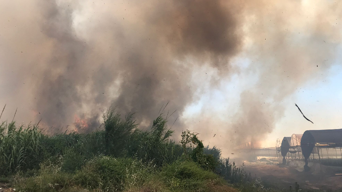 Antalya'da 'Yamansaz' sazlık alanında yangın