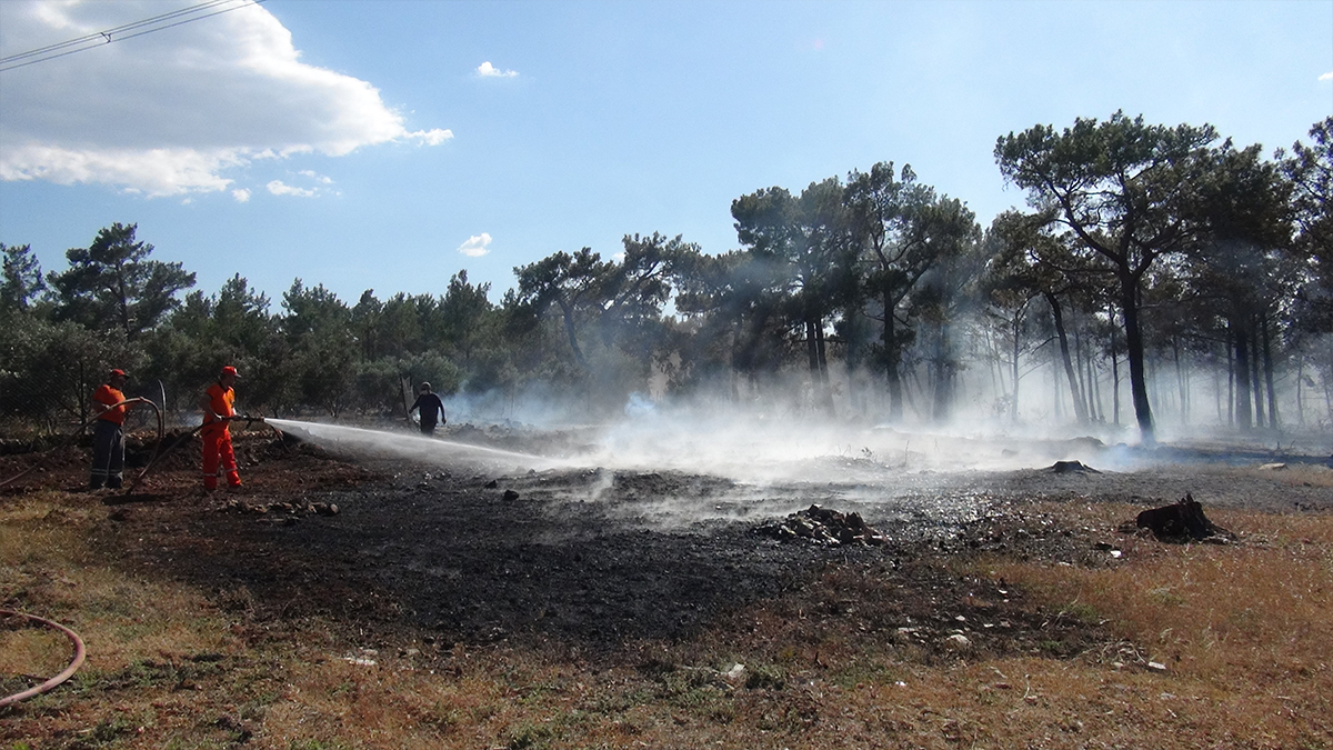 Mersin'deki orman yangını söndürüldü