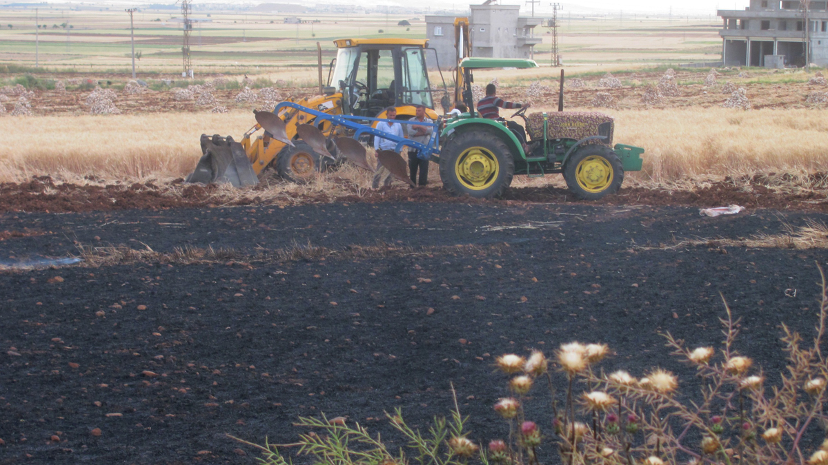 Gaziantep'te 52 dönümlük alan yandı kül oldu