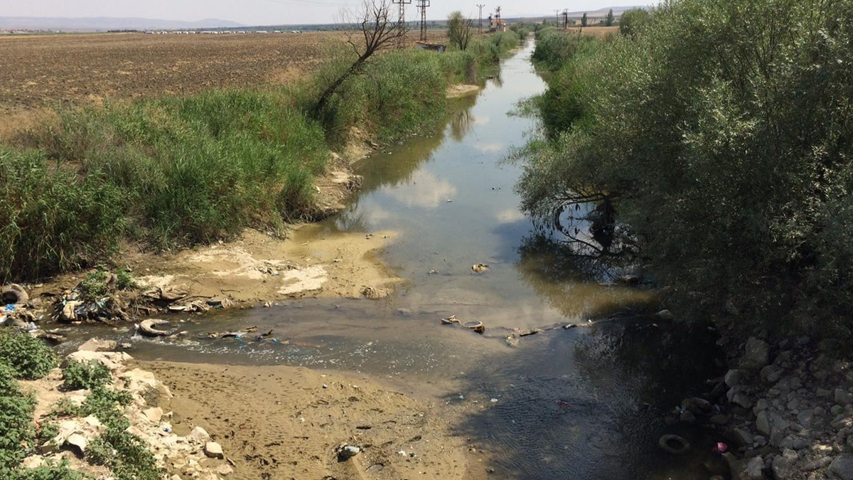 Sakarya'nın kolları kuruyor