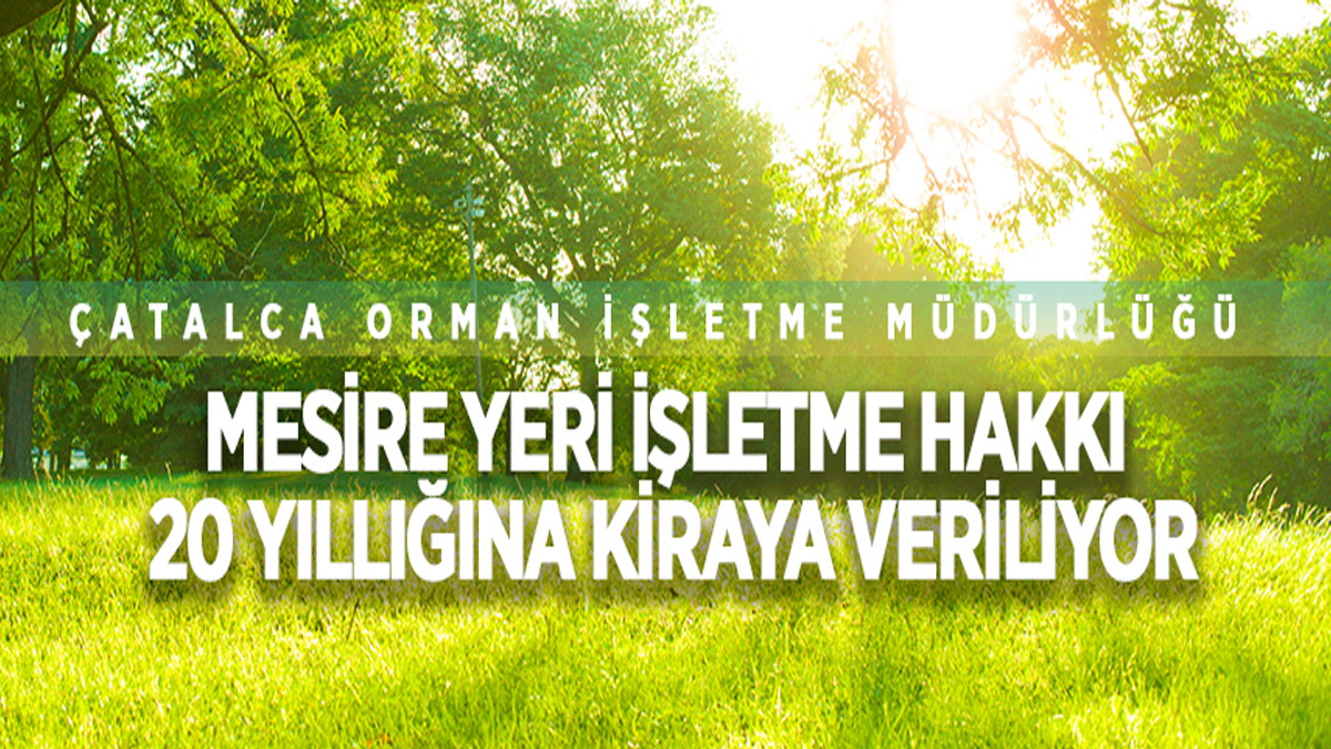 İstanbul'da mesire yeri işletme hakkı 20 yıllığına kiraya verilecek