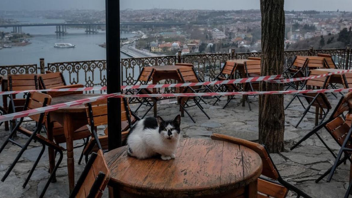 Esnaf ile sanatkarlara hibe desteği başvuruları başladı