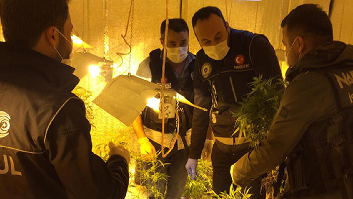 İstanbul'un ortasında zehir bahçesi