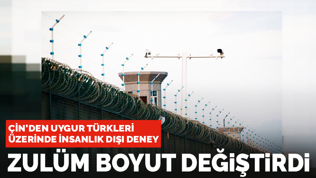 Zulüm boyut değiştirdi: Yapay zekadan kaçamıyoruz