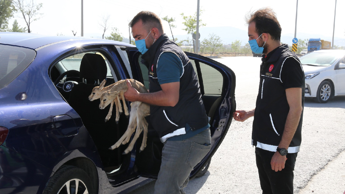 Uyuşturucu denetiminde şoke eden görüntü