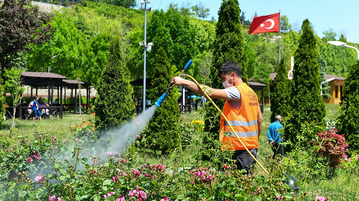 Esenyurt Belediyesi ağaçları zararlı böceklere karşı ilaçlıyor