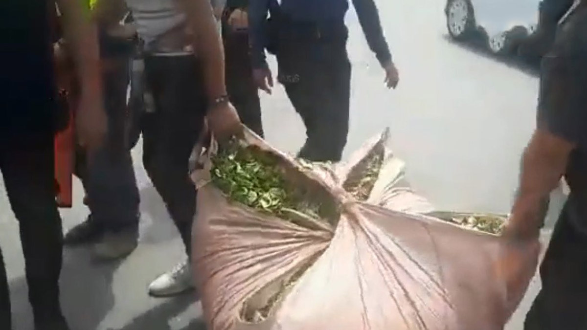 Çay üreticilerinden kota protestosu