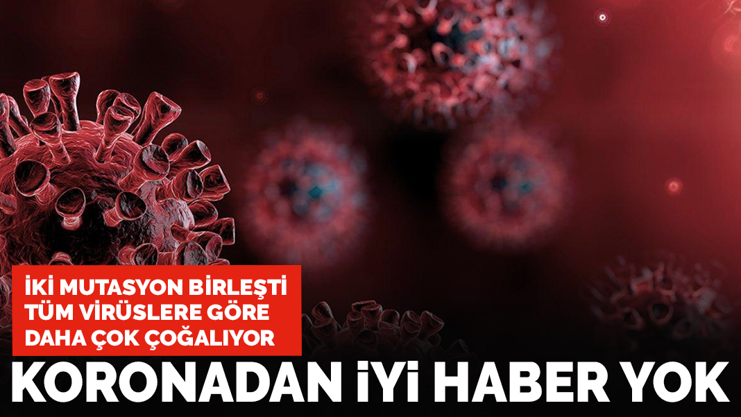 Koronadan iyi haber yok: İki mutasyon birleşti, tüm virüslere göre daha çok çoğalıyor