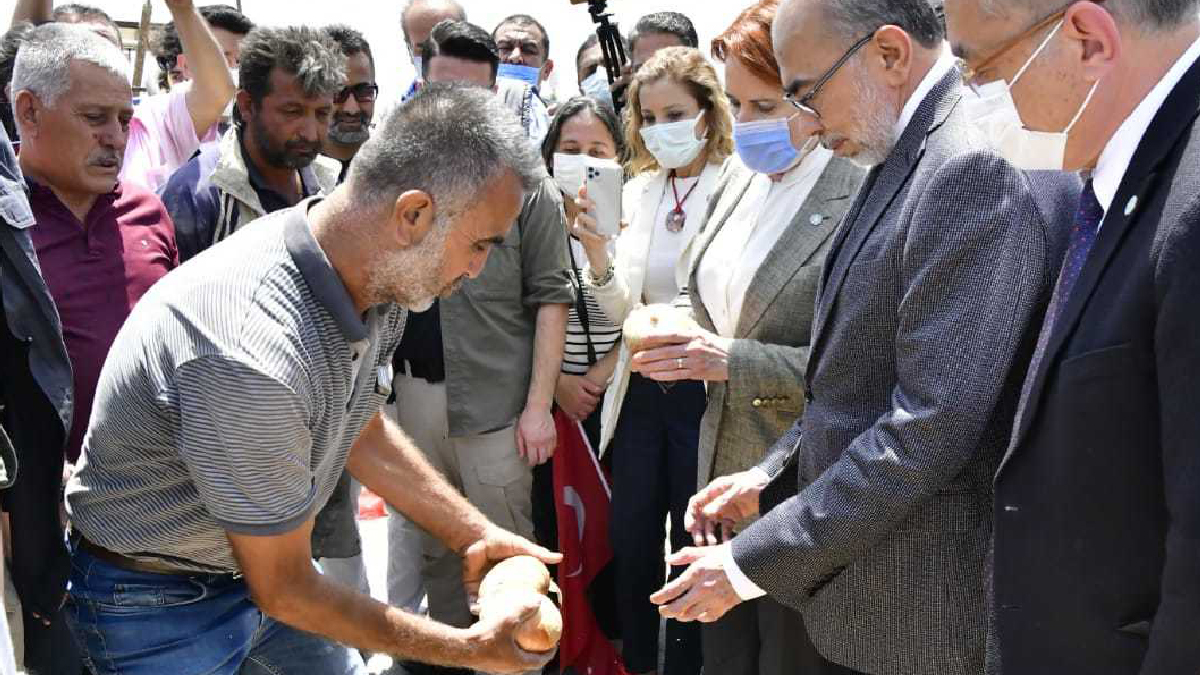 Çiftçi Akşener'e dert yanarak tarlalarında kalan soğanları yere döktü