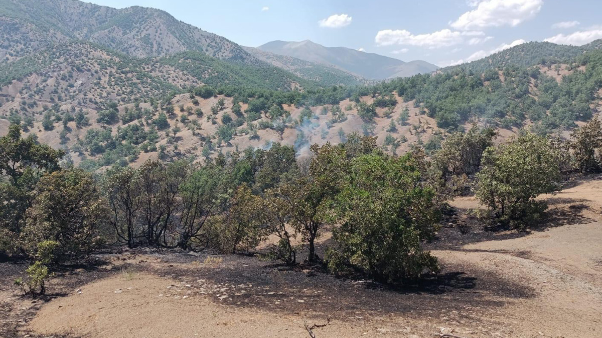 Bingöl'de orman yangını
