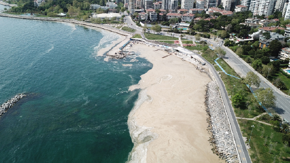 Prof. Dr. Mustafa Öztürk: Haliç'i temizledik ama Marmara'yı temizleyemezsiniz
