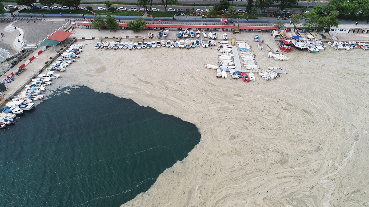 Bakan Kurum açıkladı: Müsilaj için hangi adımlar atılacak?