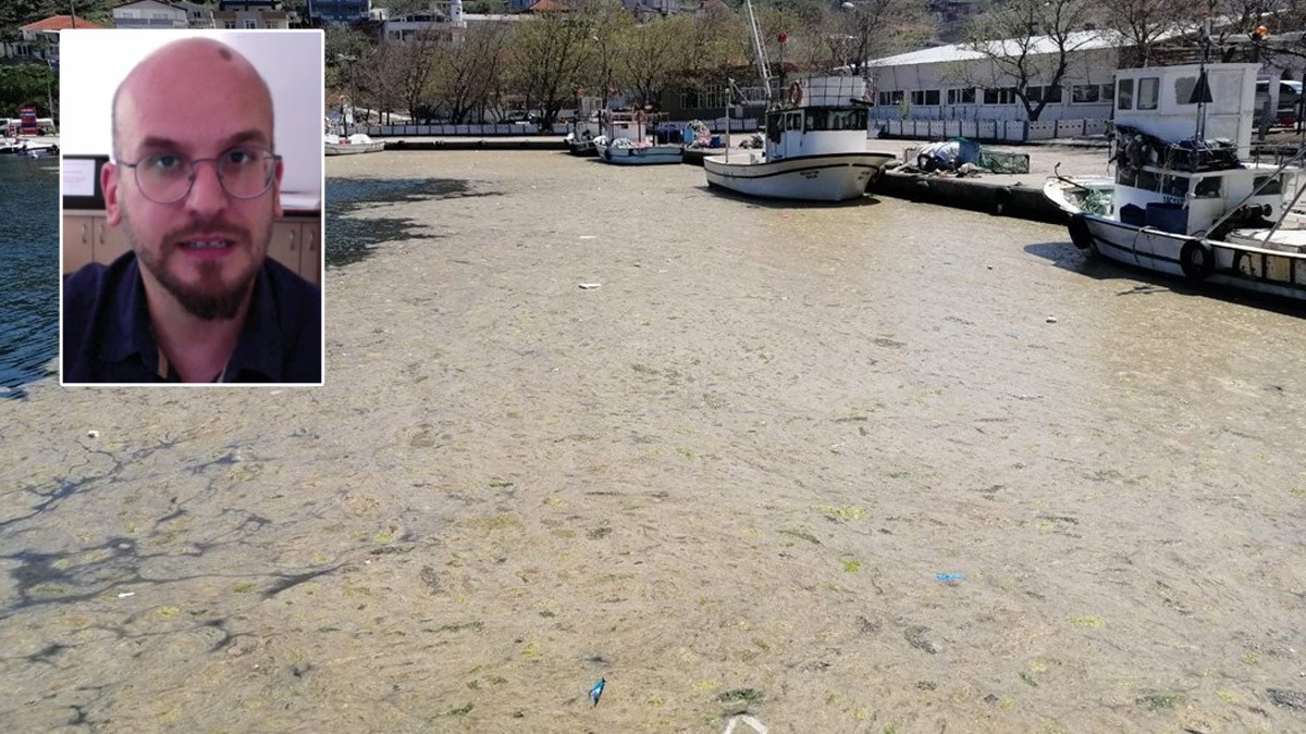 Korkutan araştırma: Marmara komadan 5-6 yıl içinde çıkabilir