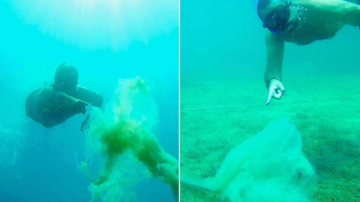 Ata Demirer paylaştı: Deniz salyası tehlikesi Kuzey Ege'de