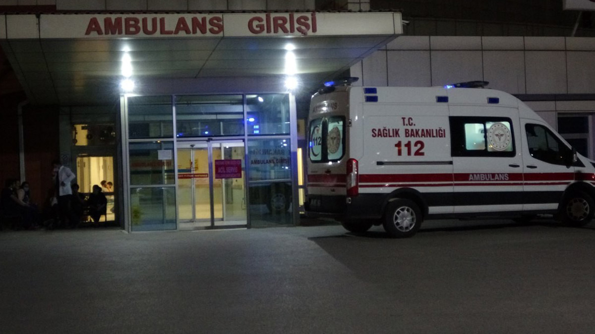 Beslediği pitbull kardeşini yaraladı