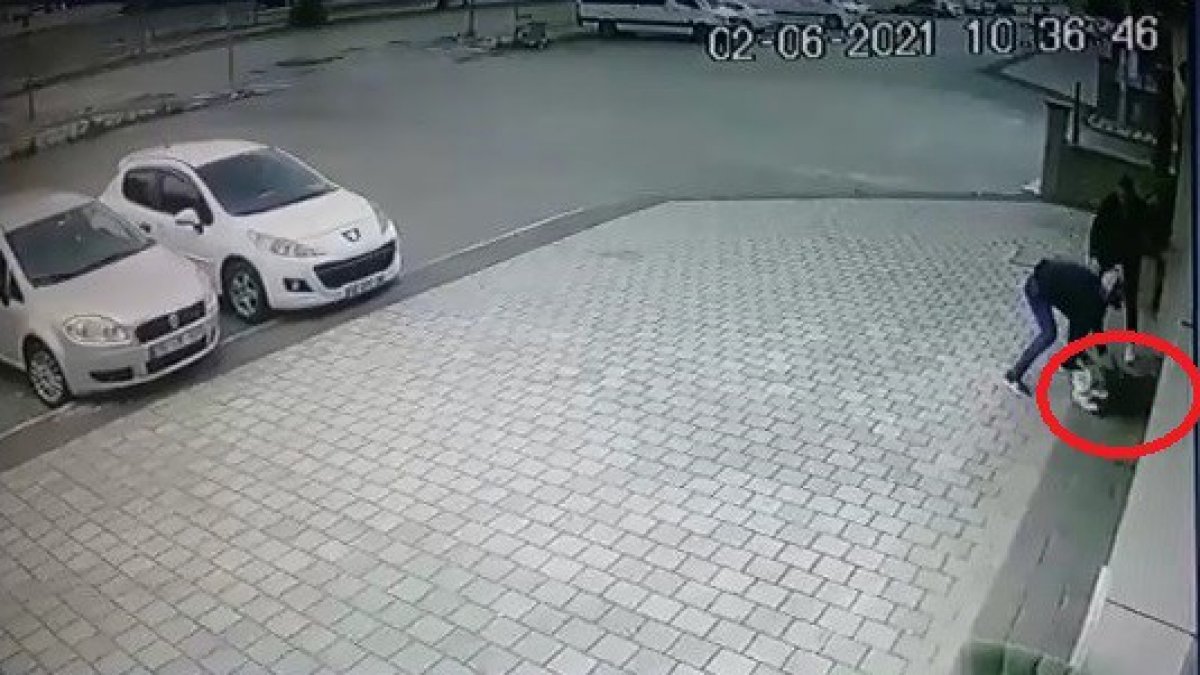 Kan donduran görüntüler! Pitbull evcil köpeğe böyle saldırdı