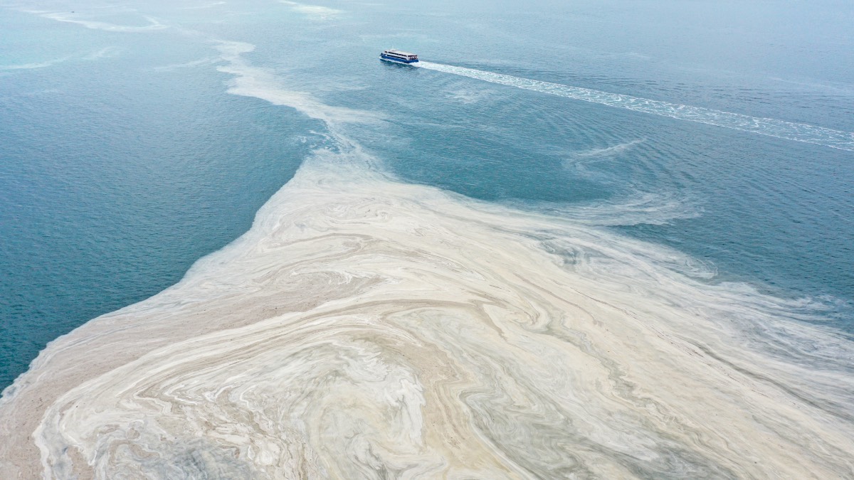 Erol Kesici: Marmara Denizi'nde ancak 5 yılda temizlenebilir