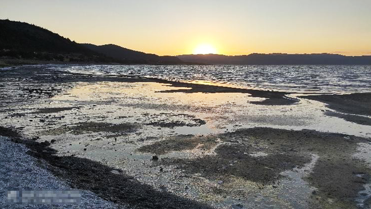 Tartışılan Salda görüntüsüne açıklama: Numune sonuçları çıktı