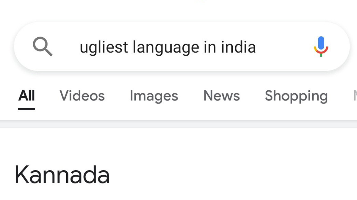 Google'dan Hindistan'a Kannada özrü