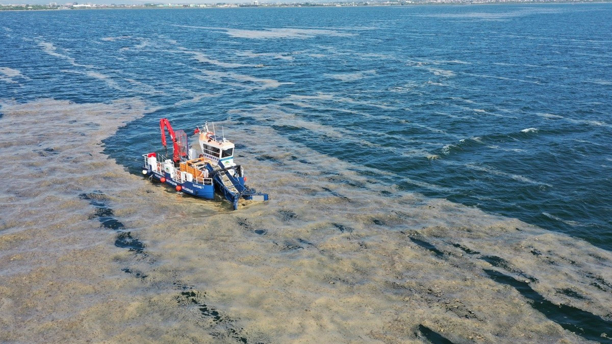 TBMM'de 'müsilaj' komisyonu kurulacak