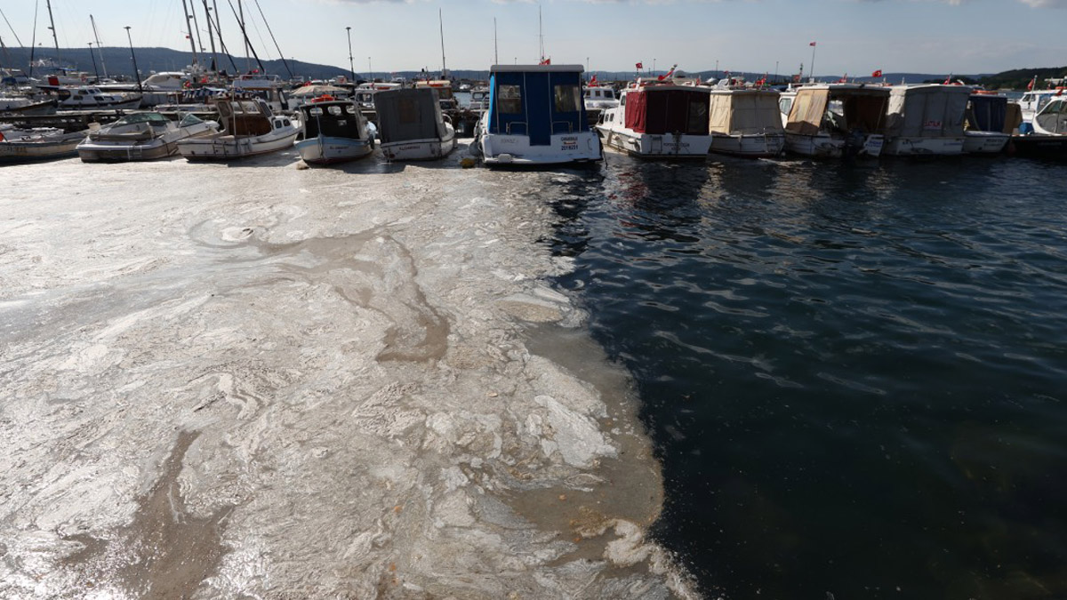 Müsilaj Ege Denizi'ne akmaya başladı